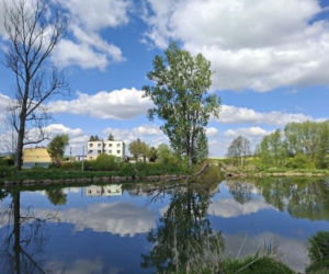 Mirogonowice. Świętokrzyskie