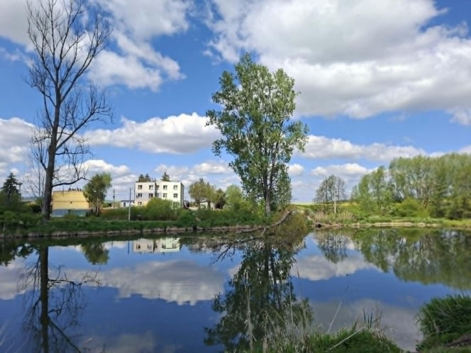 Mirogonowice. Świętokrzyskie