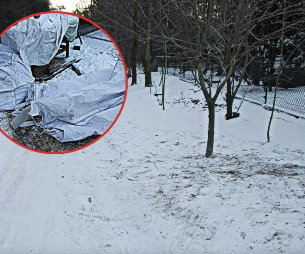 W Święta na drogach było bezpiecznie, ale nie obyło się bez niebezpiecznych zabaw 