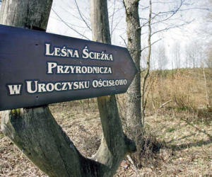 Majówkę spędź na Mazowszu