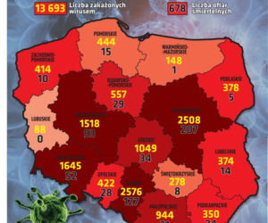 Koronawirus w Polsce i na świecie - 3.05.2020