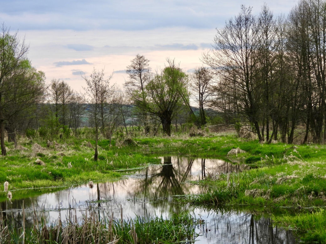 Ponidzie piękne także wiosną