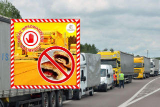 Trzy transporty z Ukrainy zatrzymane w kilka dni. Jaja, kapusta i nadzienie nie wjadą do Polski