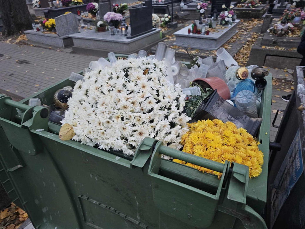 Kwiaty, które jako pierwsze trzeba wyrzucić z cmentarzy.