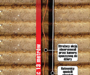 Wielka akcja! Uwolnić szczeniaka!