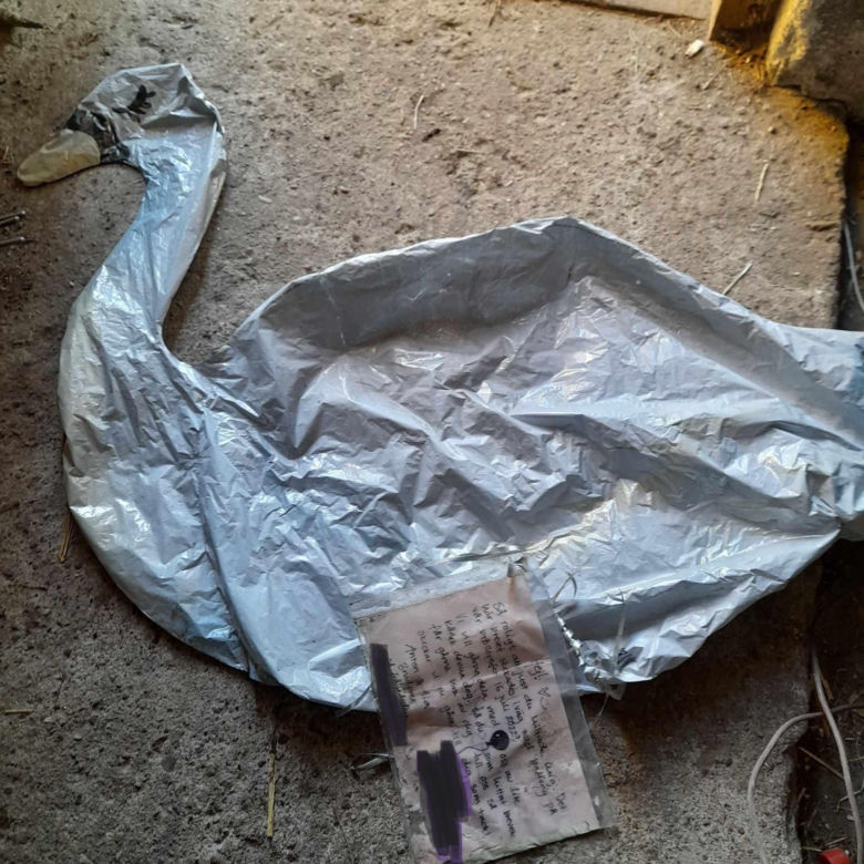 Balon z listem przeleciał niemal tysiąc kilometrów. Niezwykłe odkrycie w lesie [ZDJĘCIA]
