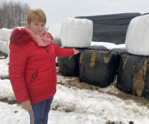 Żubry wyjadają nam jedzenie