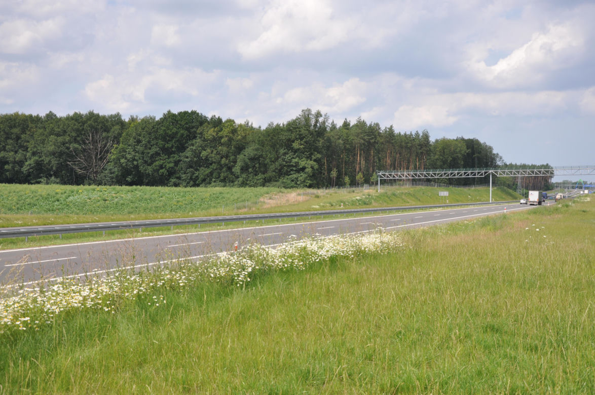 Wielkie kraty nad polskimi drogami. Do czego służą?