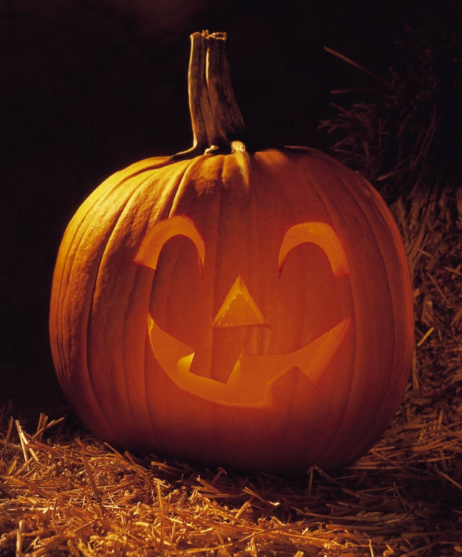 Halloween dynie