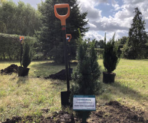 W Szczecinku otwarto Las dziennikarzy