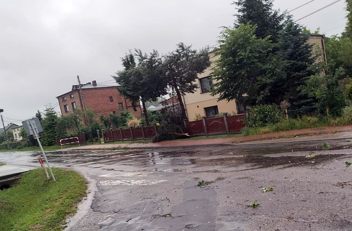 Skutki burz na Śląsku. Wiatr połamał drzewa, woda zalała domy