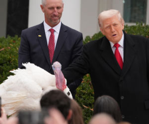 Trump ułaskawił indyki. Ale poprzednie zostaną zjedzone?!