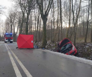 Śmiertelny wypadek pod Elblągiem. Zginęli pasażerowie w wieku 17 i 22 lat [ZDJĘCIA]