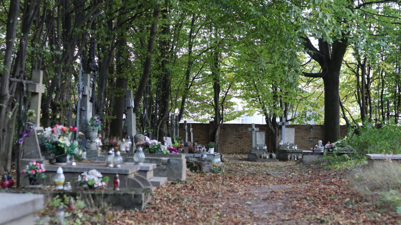 Lubelski cmentarz ukryty wśród drzew. Pochowani tu są mariawici. Zobacz