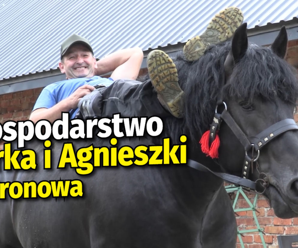 Rolnicy. Podlasie. Gospodarstwo Agnieszki i Jarka z Bronowa [WIDEO]