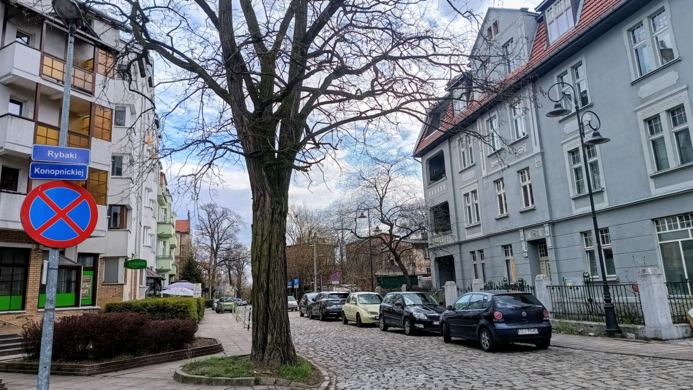 Rybaki, Toruń