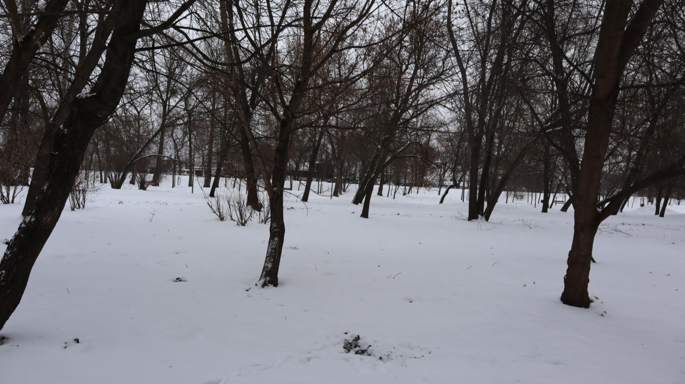 Park Ludowy 