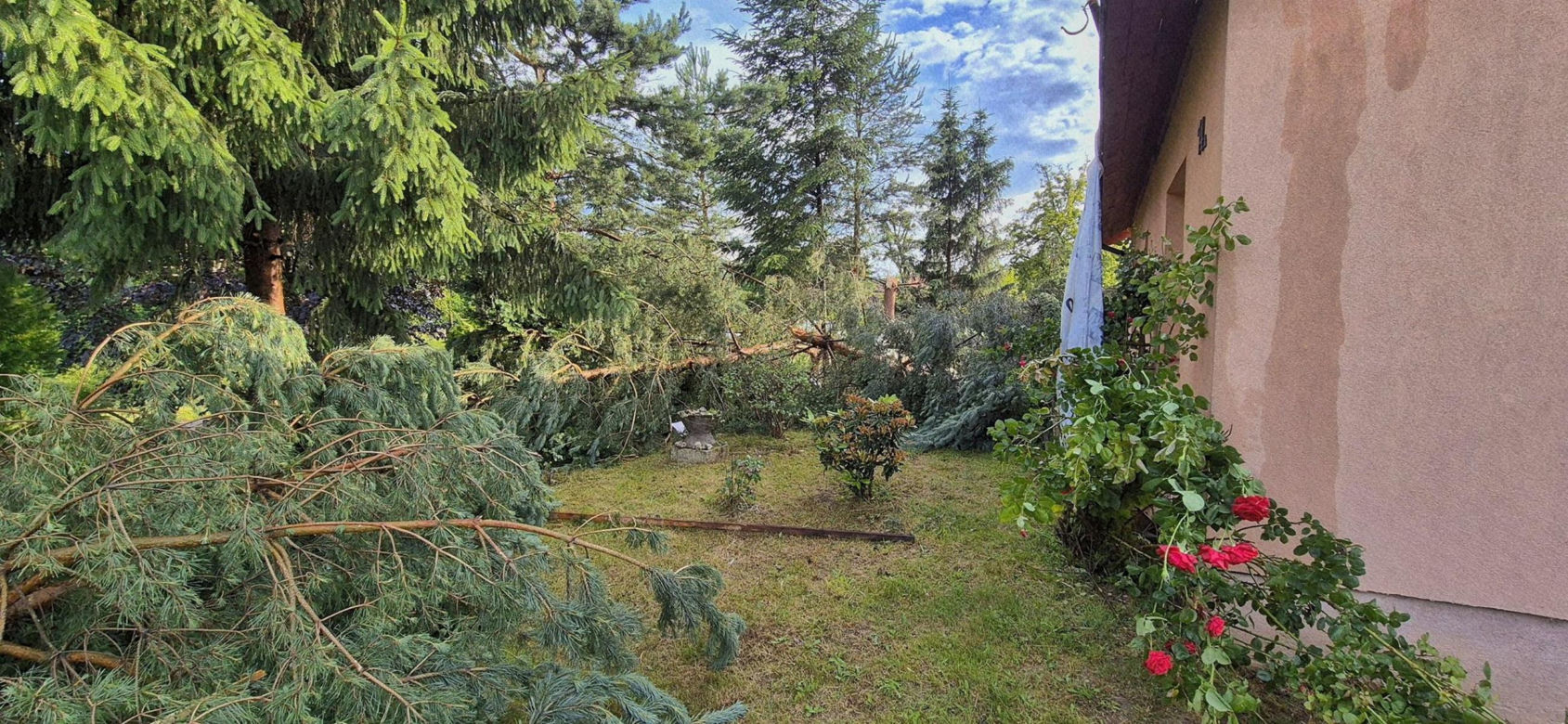 Dolnośląskie. Burze wyrządziły wiele szkód w regionie. Tak wyglądają okolice Jawora [ZDJĘCIA].