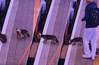 Sam wsiadł do pociągu i pojechał na gapę. Przechadzał się po wagonie i odwiedzał pasażerów 