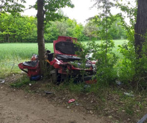 Tragiczne w skutkach uderzenie w drzewo