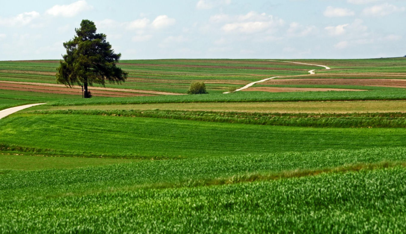 Wyjątkowa małopolska wieś na Szlaku Orlich Gniazd. Zachwycają się nią nawet za granicą 