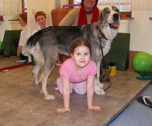 Dogoterapia