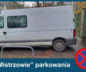 Warszawscy mistrzowie parkowania w listopadzie 2020
