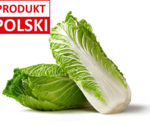 Lidl – mega promocje! Polska kapusta pekińska za 2,49 zł/ 1 kg