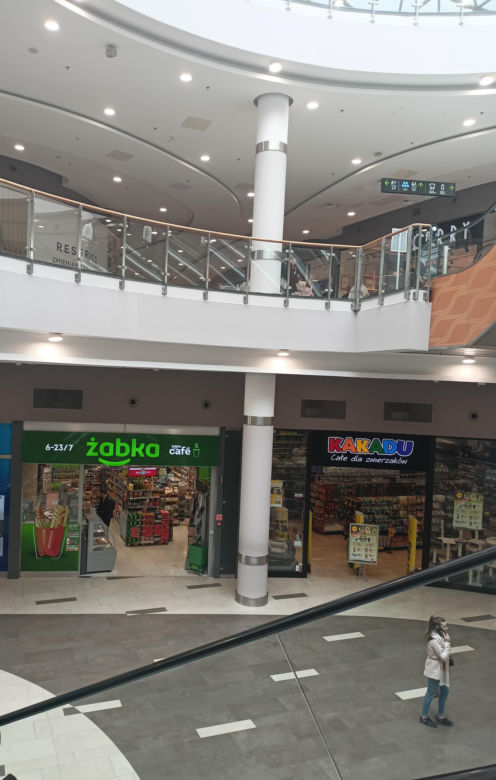 Restauracja Żabka w Avenidzie