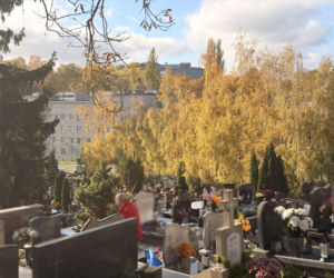 Tak dziś wygląda grób Anny Przybylskiej. Uwielbianą aktorkę pożegnaliśmy 12 lat temu