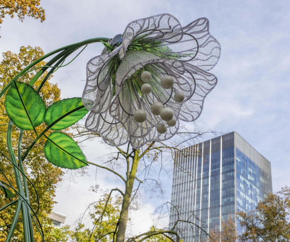 Magiczny Park Światła w centrum Warszawy. Niezwykłe kwiaty rozbłysną przy Pałacu Kultury