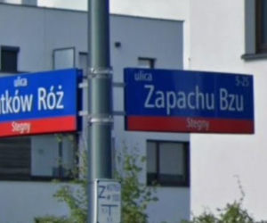 Oto najbardziej wiosenne ulice w stolicy! Tu wiosna trwa cały rok!