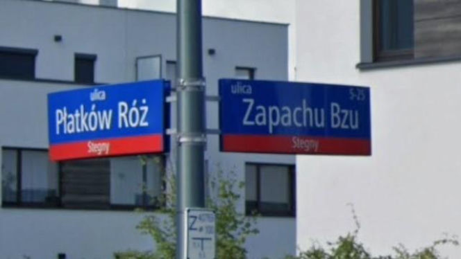 Oto najbardziej "wiosenne" ulice w stolicy! Tu wiosna trwa cały rok!