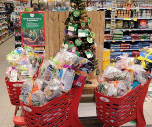 29 tysięcy prezentów dla zwierząt – Maxi Zoo podsumowuje świąteczną akcję