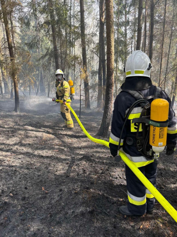Pożar lasów w powiecie bocheńskim