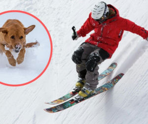 Pies wbiegł pod narty nastolatka. Chłopak w szpitalu