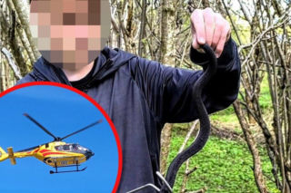 Kto zapłaci za surowicę dla Miłosza? 16-latka ukąsiła wyjątkowo jadowita żmija!