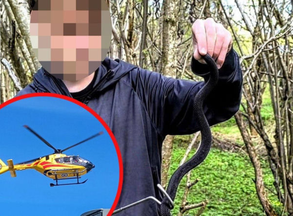 Kto zapłaci za surowicę dla Miłosza? 16-latka ukąsiła wyjątkowo jadowita żmija!