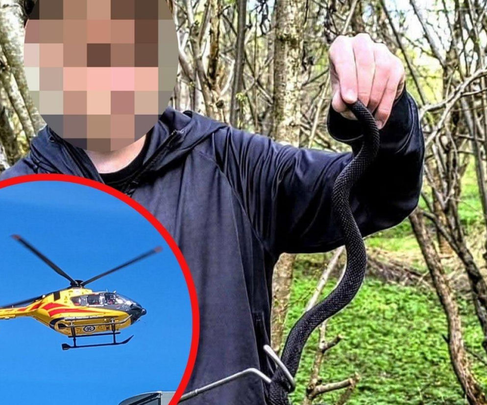  Spór o rachunek za transport surowicy z Niemiec! 16-latek z Nowego Targu walczył o życie po ukąszeniu żmii