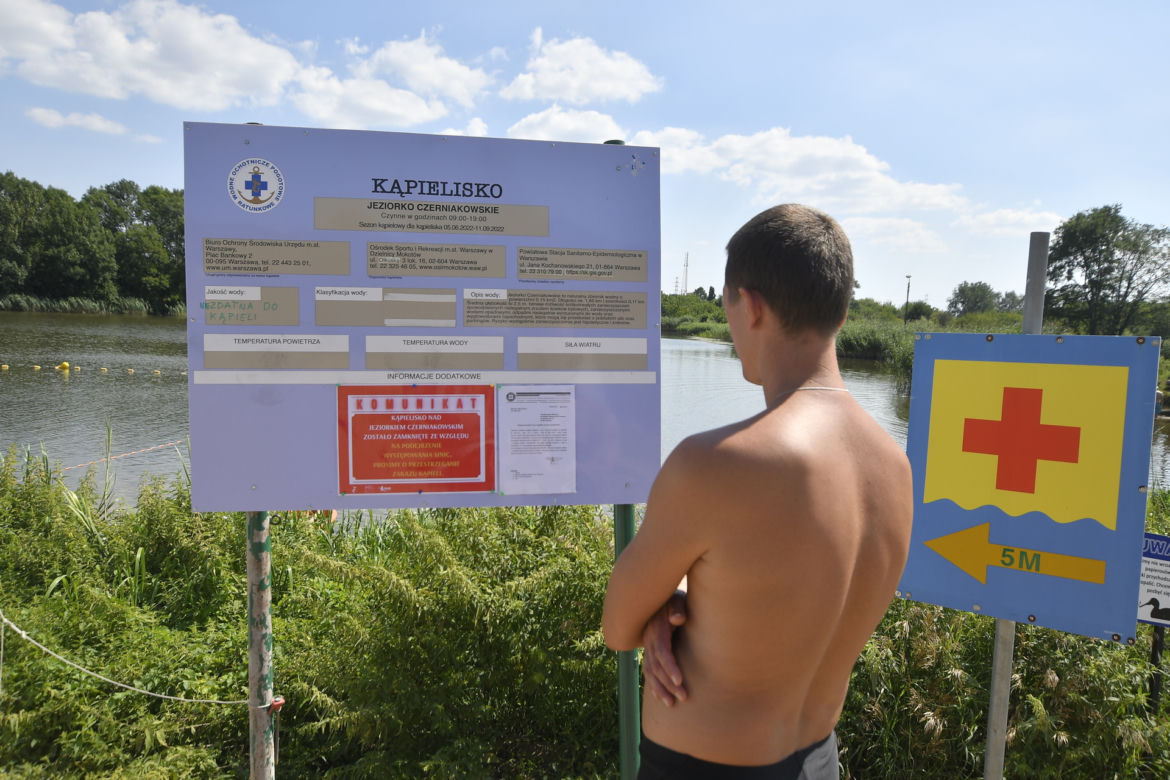 Sinice na jeziorku Czerniakowskim