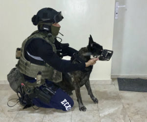 Policjanci rozpracowali grupę narkotykową