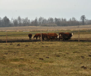 Pałac nad jeziorem czeka na Kaczyńską