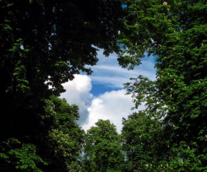 Park