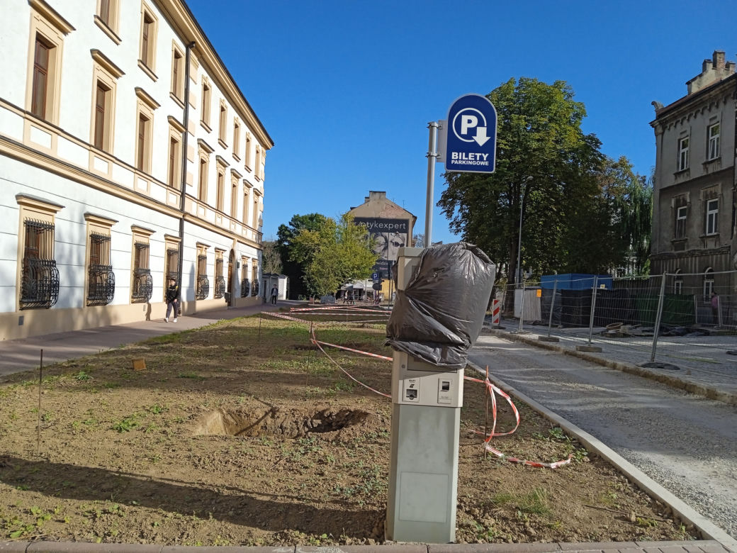 Nasadzenia drzew przy ulicy Piłsudskiego