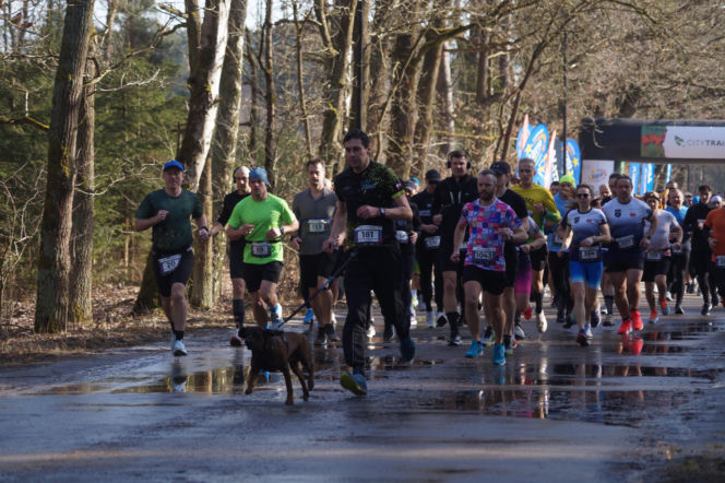Ostatni bieg City TRAIL w bydgoskim Myślęcinku [ZDJĘCIA]