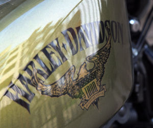 Harley-Davidson 883 Iron