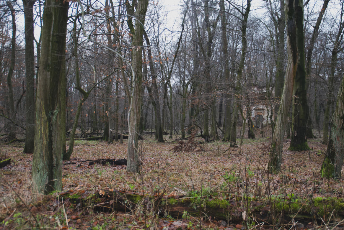 Belweder w Kędzierzynie-Koźlu - zdjęcia, urbex