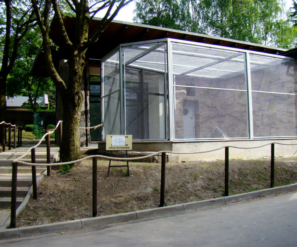 Zoo w Chorzowie