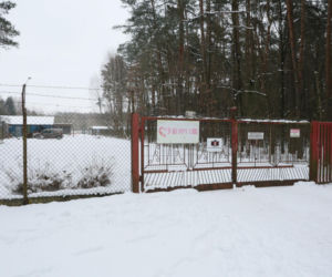 „Maszynka do mielenia mięsa i pałki z krwią”. Kulisy zamknięcia schroniska „Happy Dog”. Co dalej?