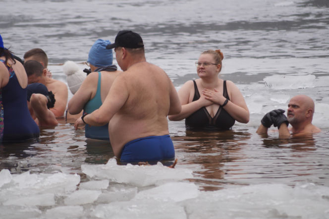 Lodowata woda, gorące emocje. Morsy znów opanowały jezioro pod Bydgoszczą